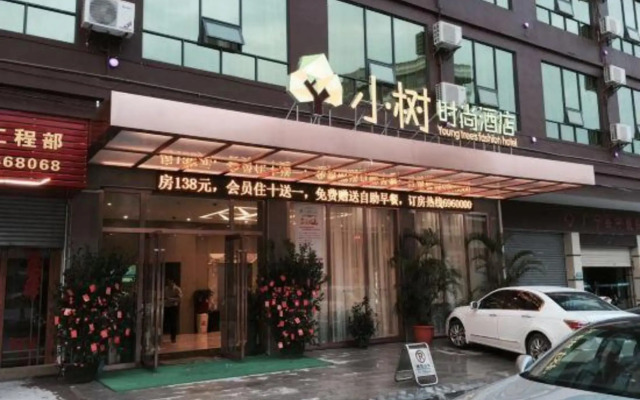 Young Trees Fashion Hotel