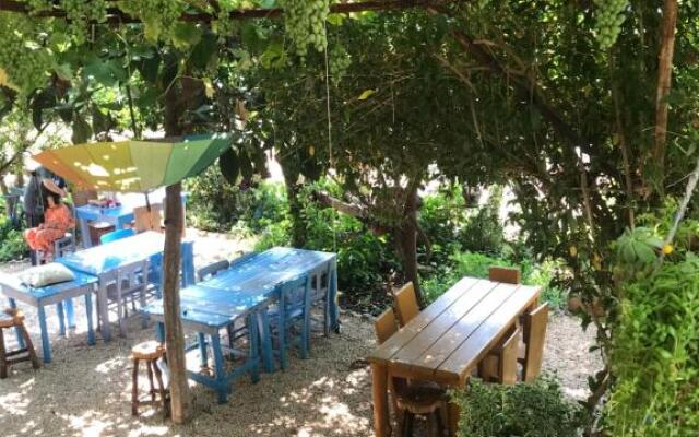 Senayablaevpansiyonculuk