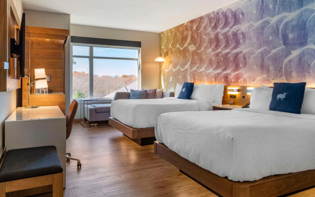 Cambria Hotel Manchester South Windsor