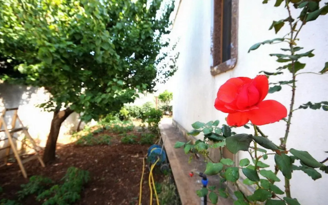 Santunicola B&B