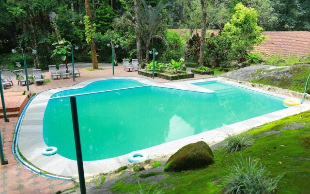 Blue Ginger Resort