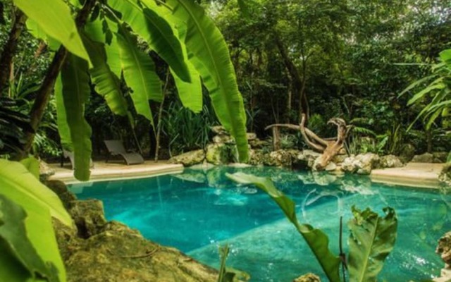 Reserva Ecologica Hacienda Cancun