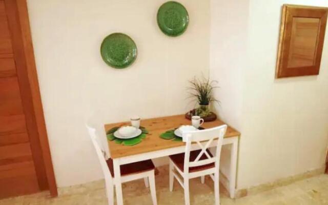 Colonial Modern 1BR APT Colonial Zone