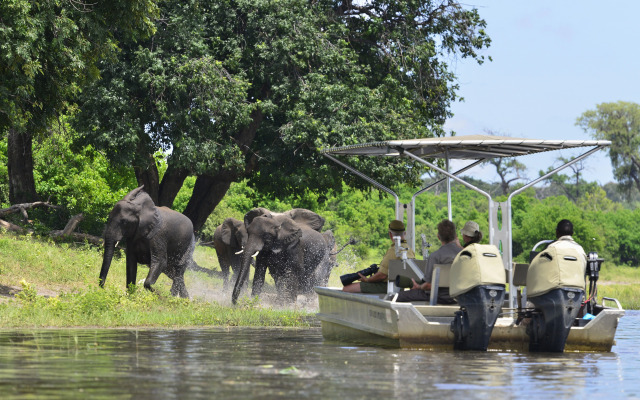 Zambezi Queen by Mantis