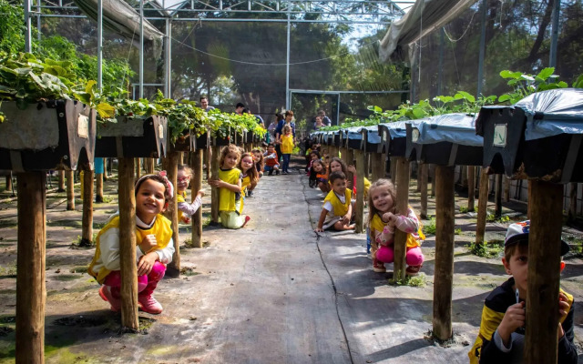 Hotel Fazenda Mazzaropi