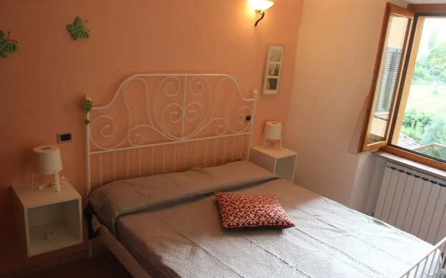 Sul sentiero di Francesco