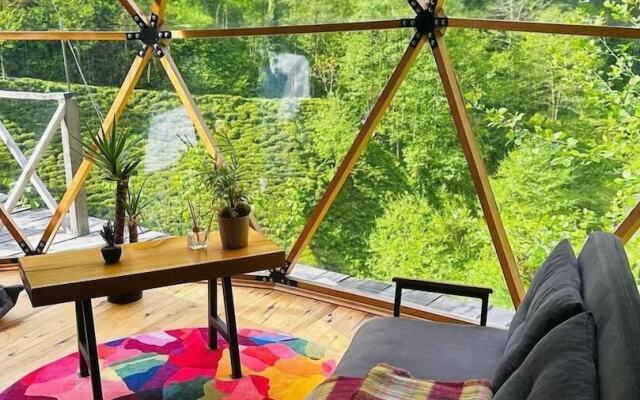 North Dome Suite