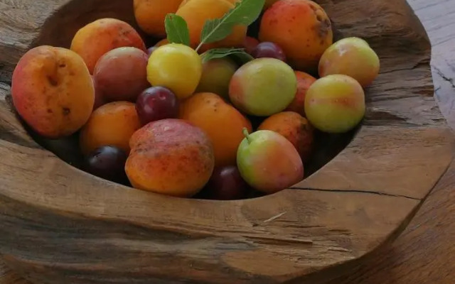 Vila Marija
