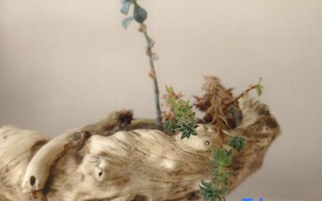 Zuimei Dali Boutique Inn