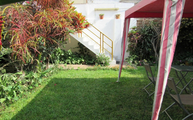 Las Palmeras Inn