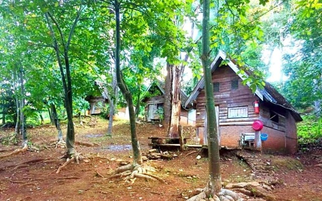 Jungle guest house