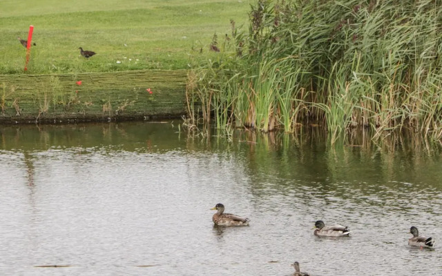 14 Fairways