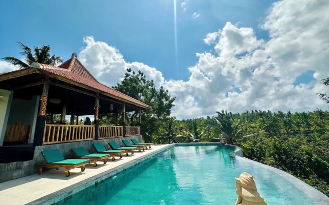 Green Coco Suite