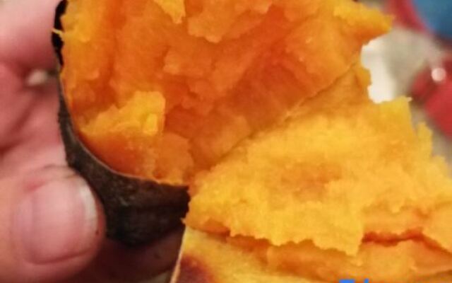 Youran Shanju Hostel