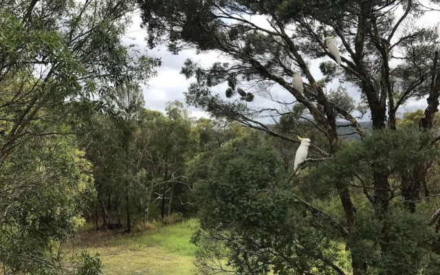 Kookaburra Retreat