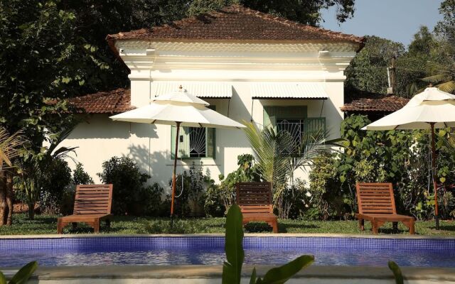 The Project Cafe Goa