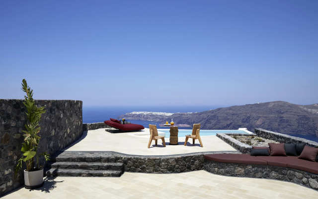 White Pearl Cavalieri - Adults Only