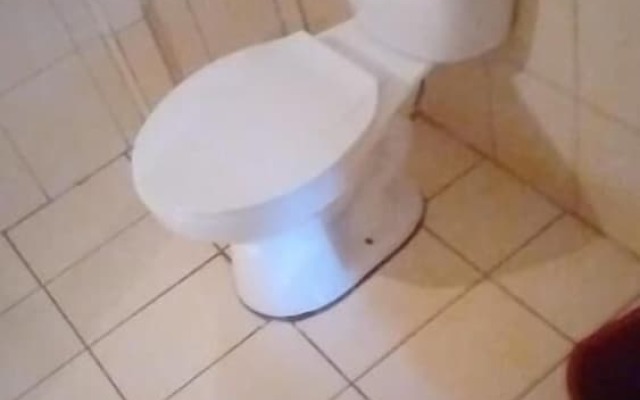 Cabinas Arribadas