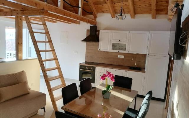 Apartment Ivana