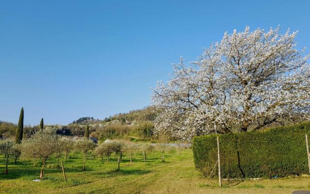 Agriturismo San Michele