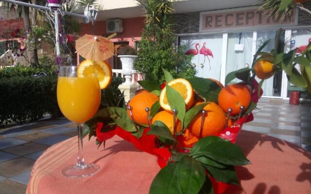 Flamingo Apartments Moraitika Corfu