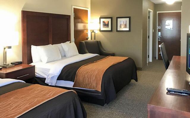 Comfort Inn & Suites Clemson - University Area