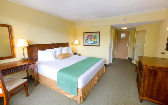 Irazu Hotel & Studios