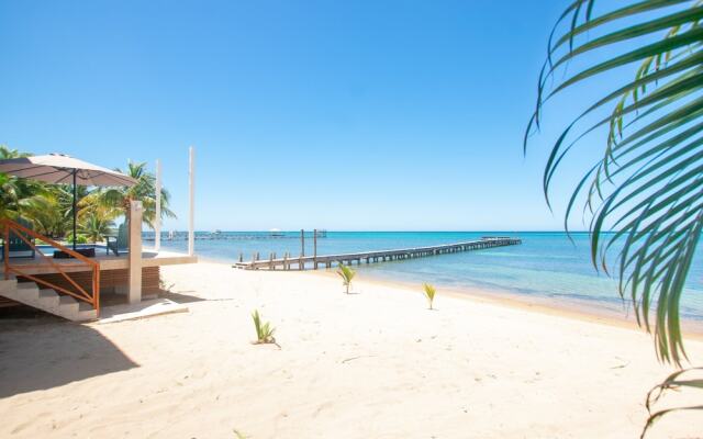 Casa Palmera 2 Bedroom Home by RedAwning