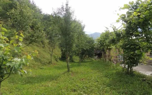 Guesthouse Rustaveli Str. 7