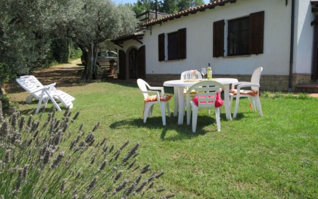 House Ulivo Montescudaio