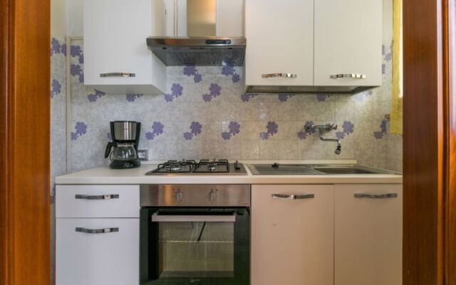 House Miranda Volterra