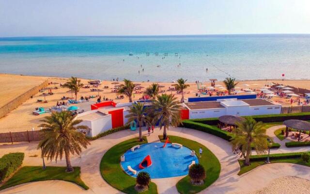 Baylasun Icon أيقونة البيلسان