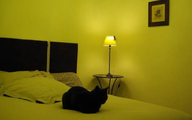 Les Dryades du Bois de Randan