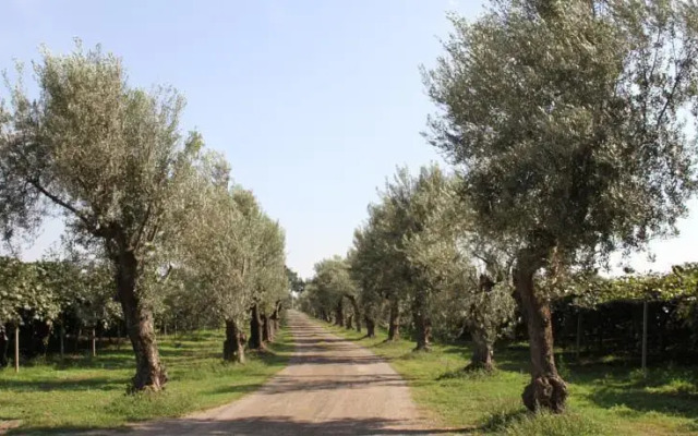 Agriturismo Ali e Radici