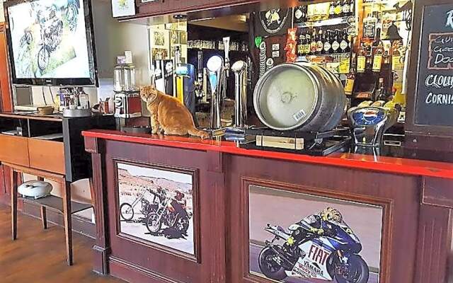 The Victoria Bikers Pub - Live Music Venue and Letting Rooms with Camping facilities