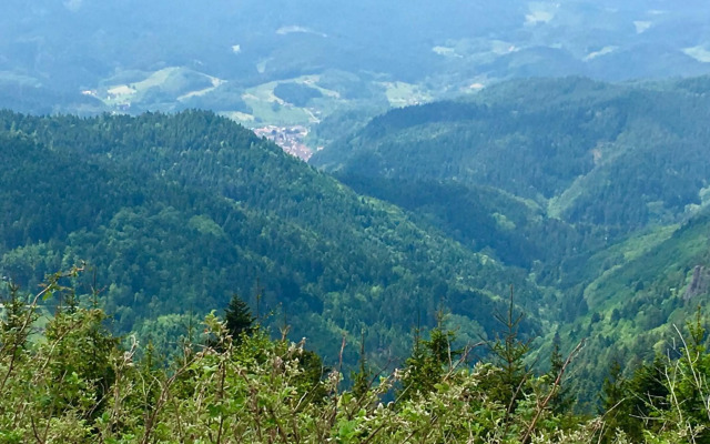 Blackforest Apartment