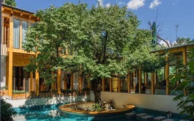 Plum Tree Lakeside Resort