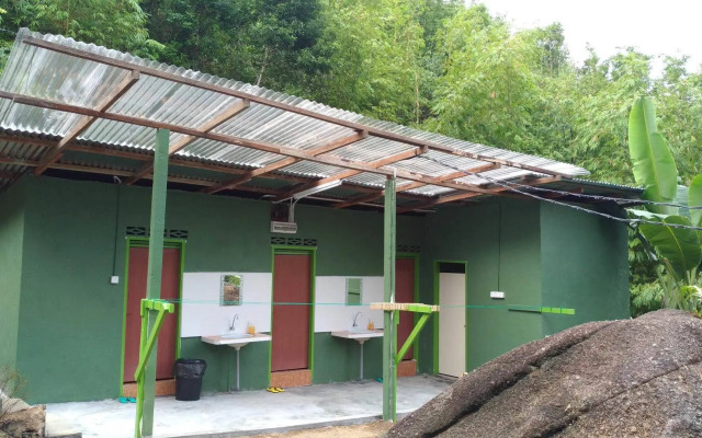 Rain Forest Inn