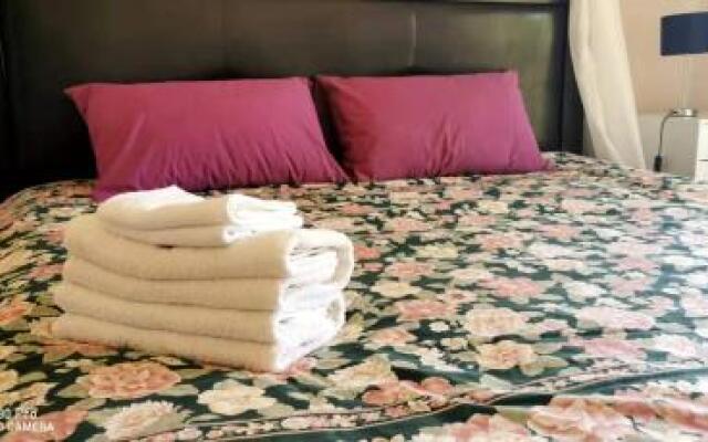 Will's Wonderland B&B & Farmstay
