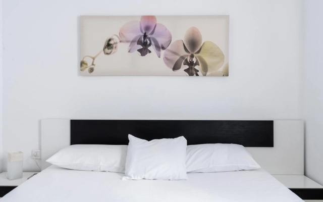 Holi-Rent Apartamento Procurador