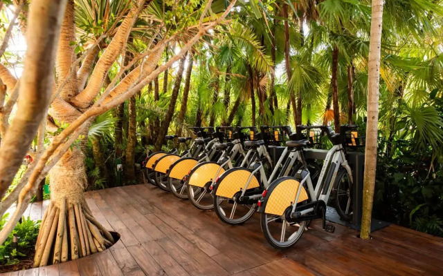 The Standard Spa Miami Beach