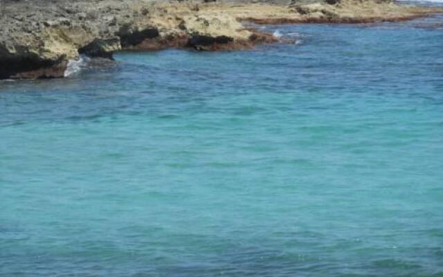 L'Ulivo Bed and Breakfast
