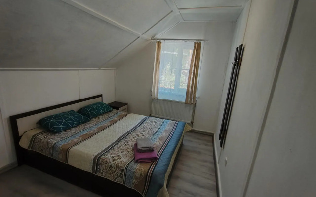 Guest house in Sosnovo (v)