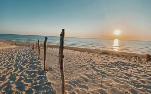 Studio a Deux Pas Des Plages de Biscarrosse, Wifi