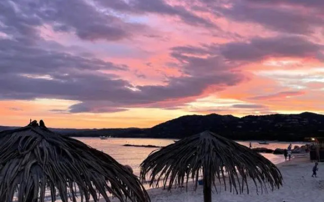 Palombaggia location i pini