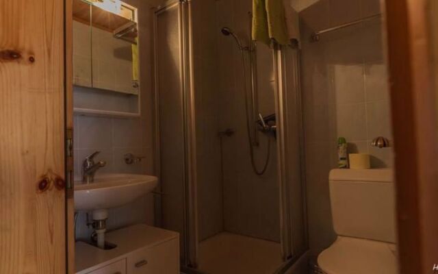 Apartment Bergfink Saas-Fee 24317