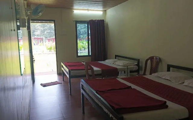 Cheetah Farms Jungle Stay