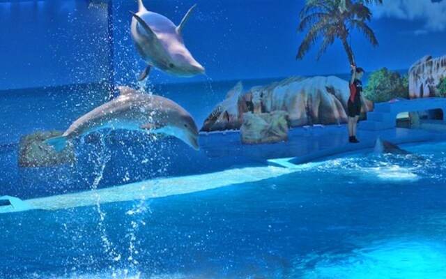 Penthouse Encosta da Orada