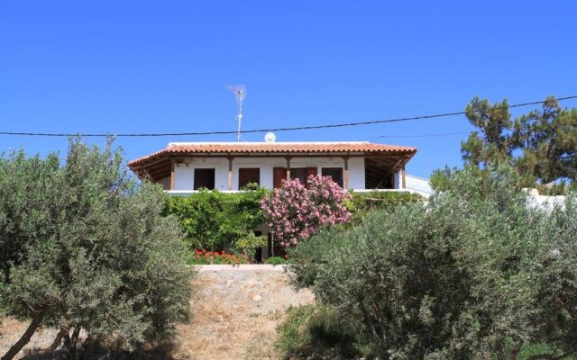 Traditional Olive House