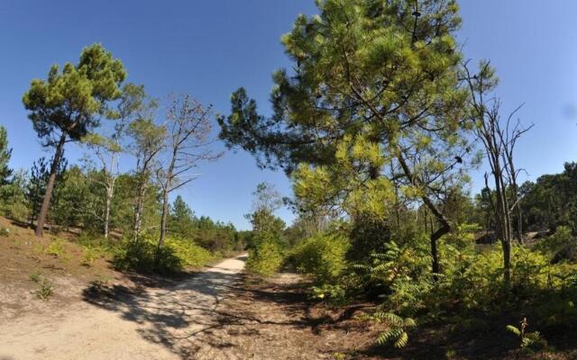 Appartement Saint-Jean-de-Monts, 3 pièces, 5 personnes - FR-1-323-230